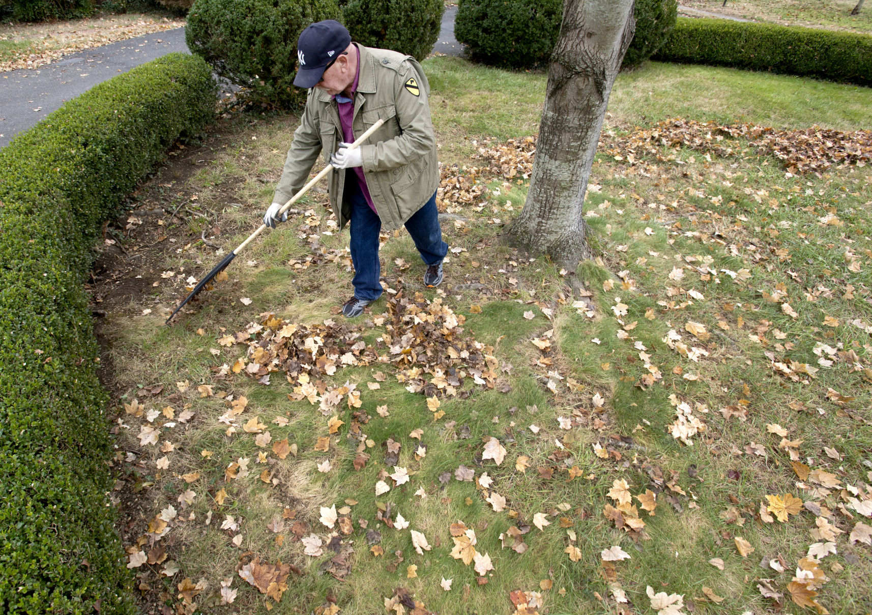 Leaf Work